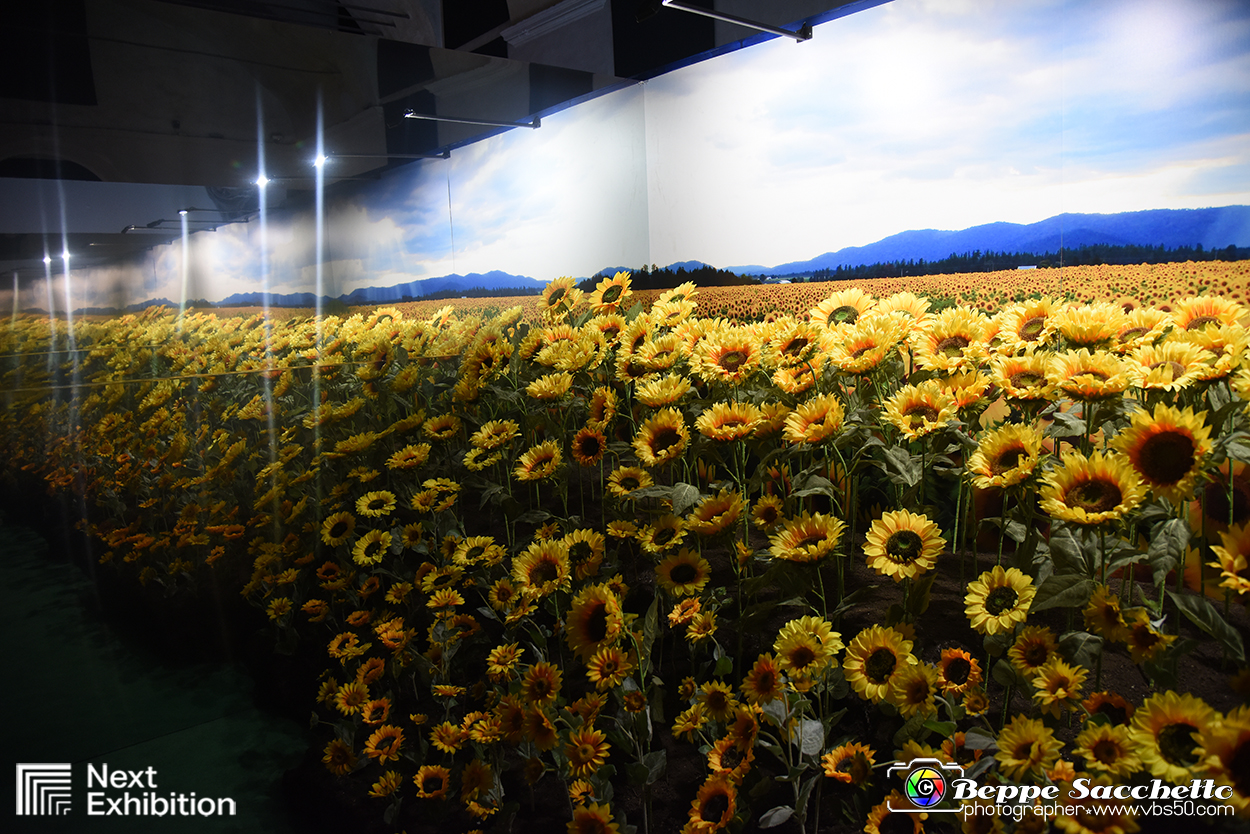 VBS_8128 - Van_Gogh_experience.jpg